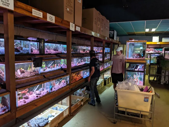 Aqualand Aquarium Center Picture 3