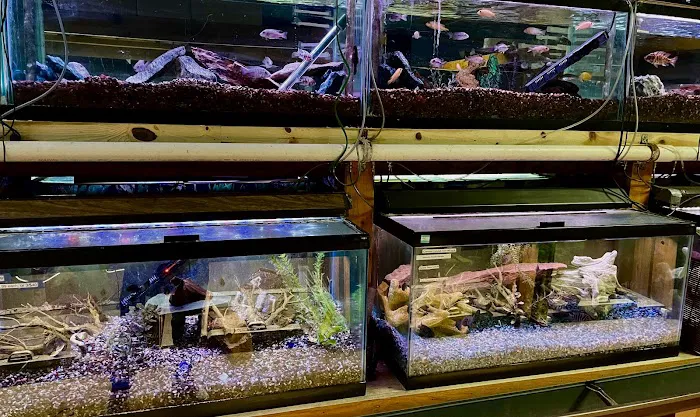 Aqualand Aquarium Center Picture 5