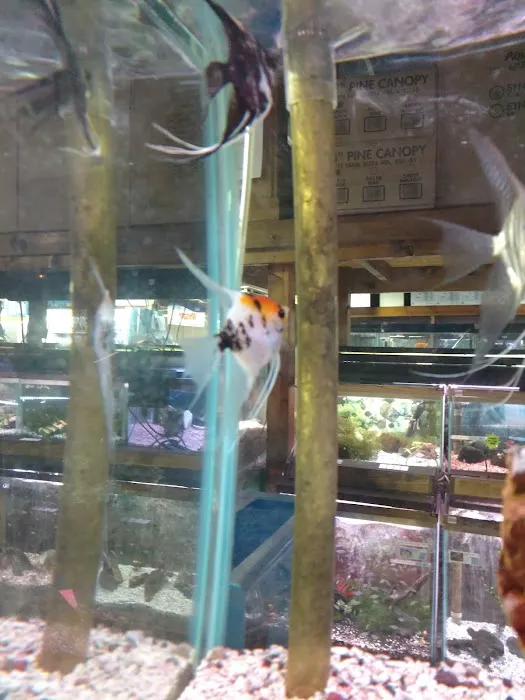 Aqualand Aquarium Center Picture 6