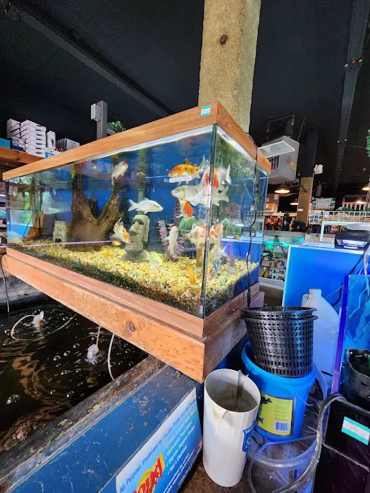 Aqualand Aquarium Center Picture 7