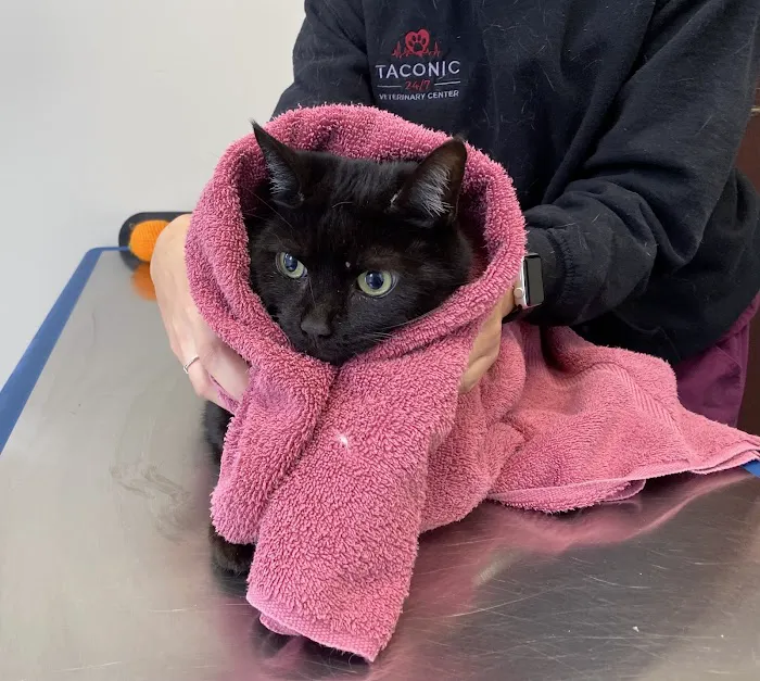 Taconic Veterinary Center Picture 2