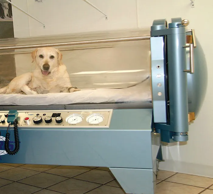 Taconic Veterinary Center Picture 9