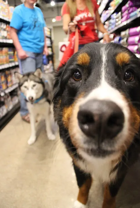 Chuck & Don's Pet Food & Supplies Picture 7