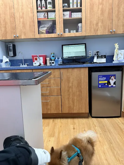 United Veterinary Center Norwalk Picture 6