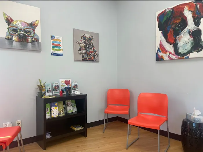 United Veterinary Center Norwalk Picture 5