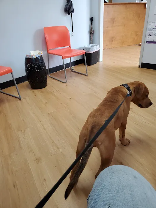 United Veterinary Center Norwalk Picture 10