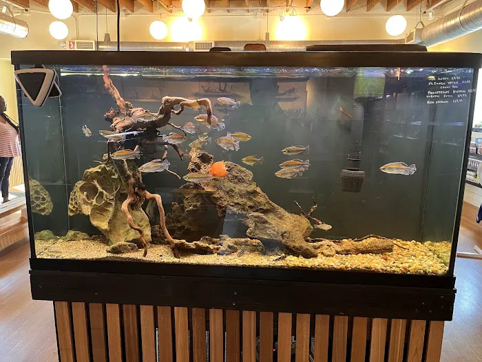 Rivershore Aquariums Picture 4