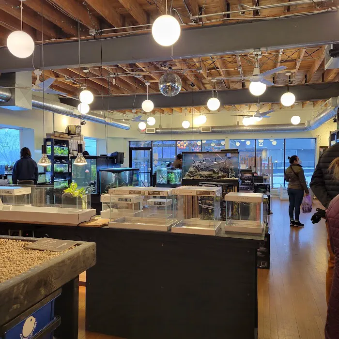 Rivershore Aquariums Picture 1