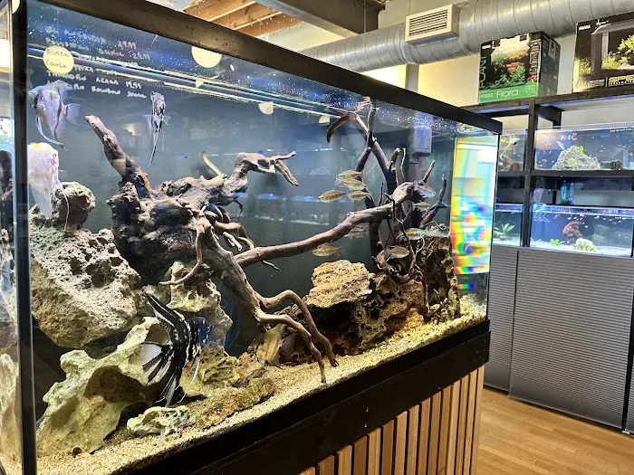 Rivershore Aquariums Picture 5