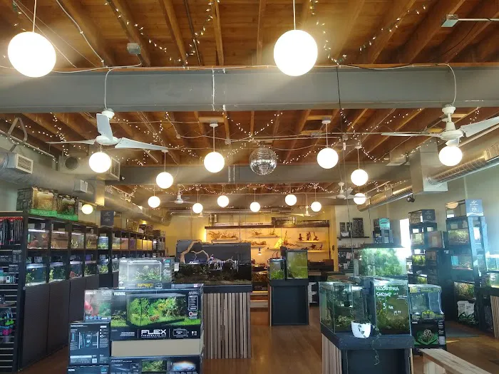 Rivershore Aquariums Picture 7