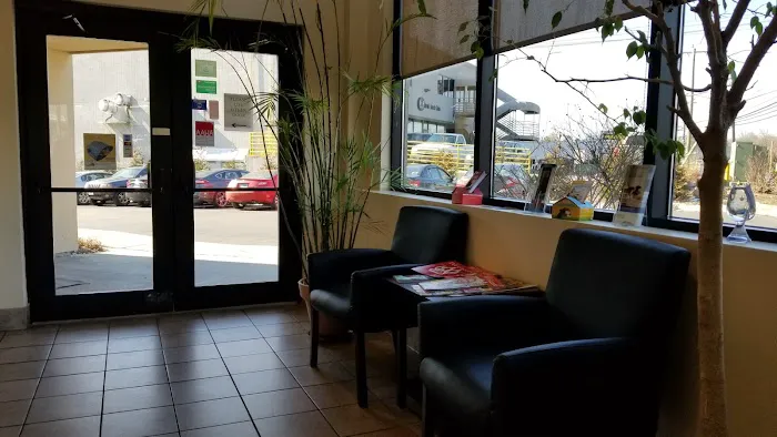 A Cat's Place Picture 6