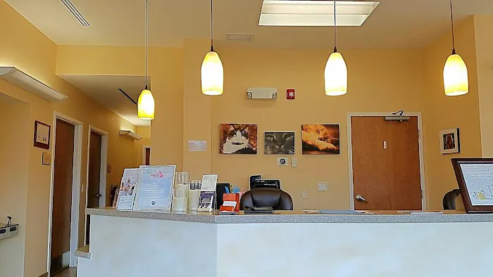 A Cat's Place Picture 7