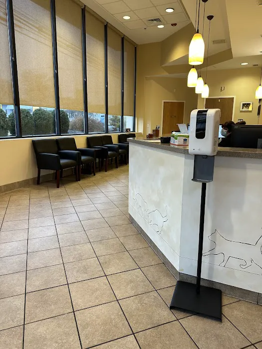 A Cat's Place Picture 9