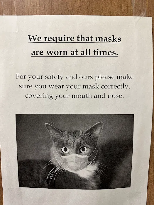 A Cat's Place Picture 10