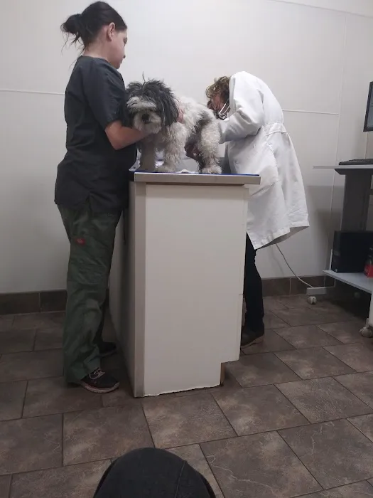 Strawberry Hill Animal Hospital Picture 7