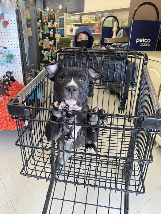 Petco Picture 2