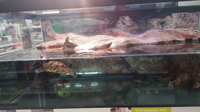 Petco Picture 3