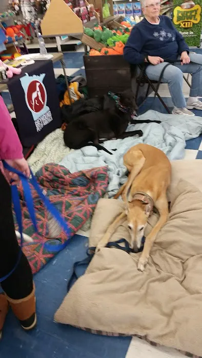 Petco Picture 7