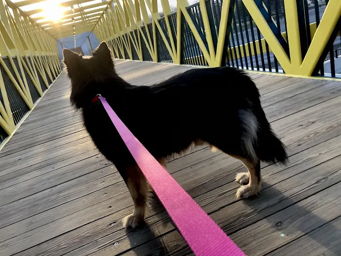 Chuck & Don's Pet Food & Supplies Picture 3