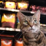 Chuck & Don's Pet Food & Supplies