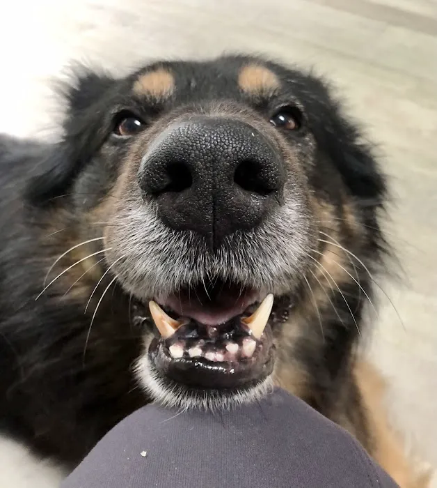 Chuck & Don's Pet Food & Supplies Picture 2