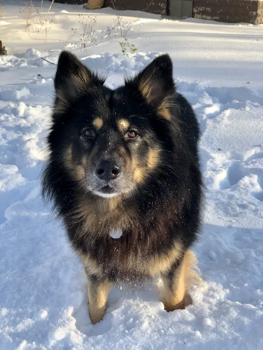 Chuck & Don's Pet Food & Supplies Picture 4