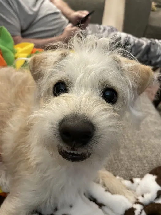 Chuck & Don's Pet Food & Supplies Picture 5