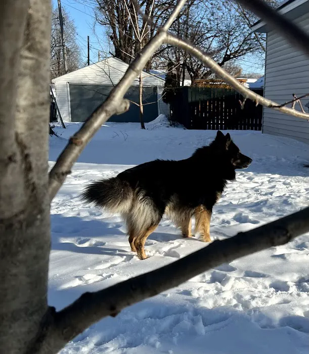 Chuck & Don's Pet Food & Supplies Picture 6