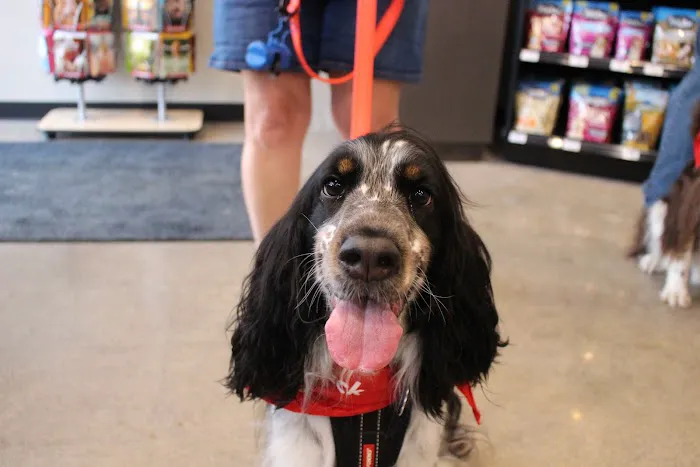 Chuck & Don's Pet Food & Supplies Picture 10