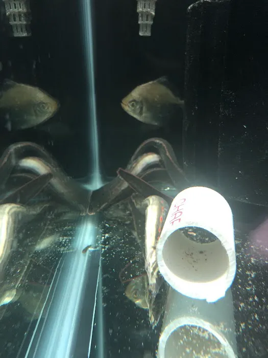 Wet World Picture 10