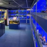 Lucas Smith Discus Aquarium ico