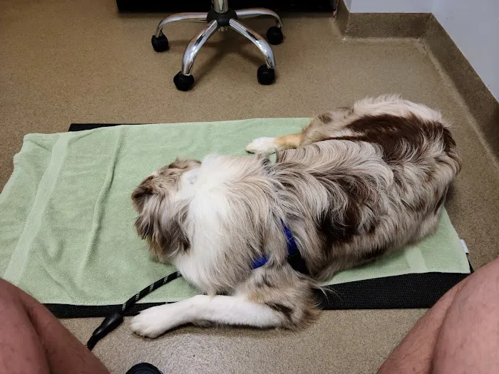 Smith Ridge Veterinary Center Picture 8