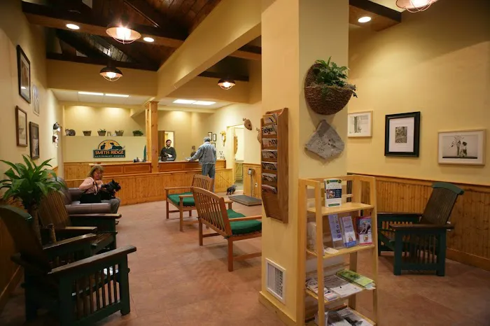 Smith Ridge Veterinary Center Picture 7