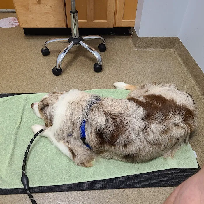 Smith Ridge Veterinary Center Picture 10