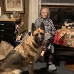 South Salem Animal Hospital