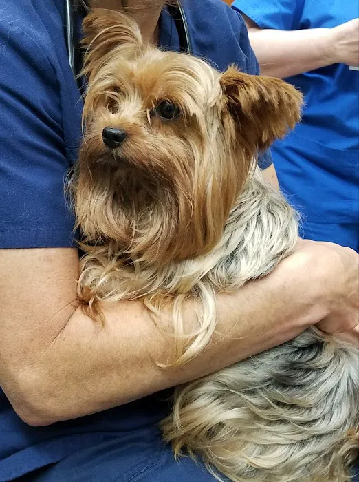 South Salem Animal Hospital Picture 7