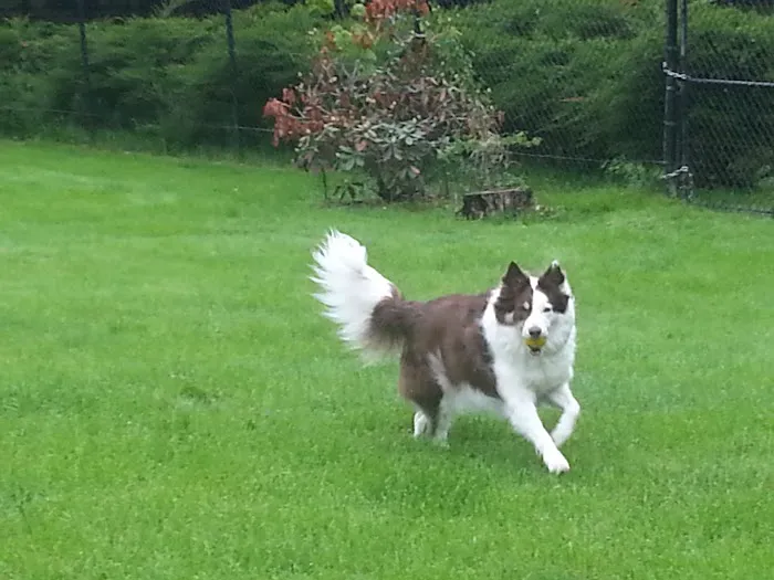 Cross River Animal Hospital Picture 5