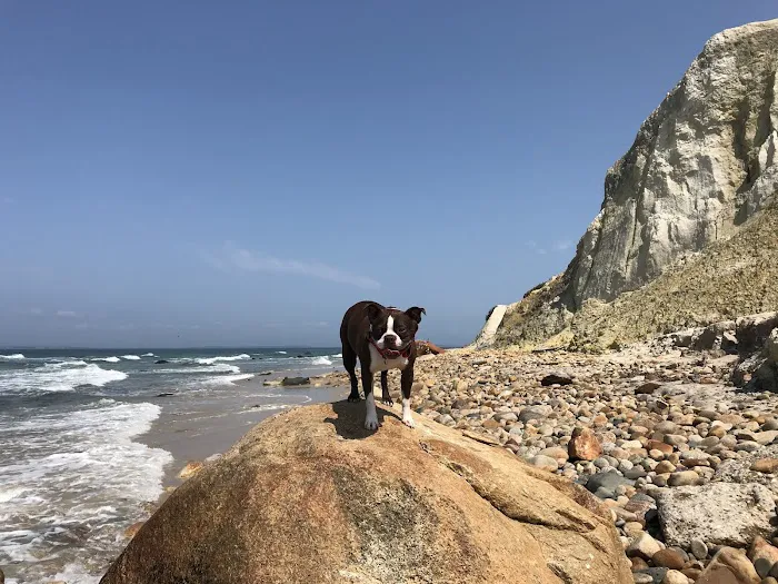 Cross River Animal Hospital Picture 6