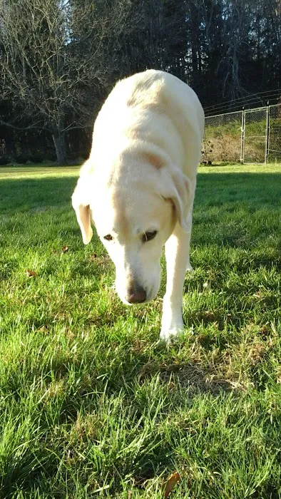 Cross River Animal Hospital Picture 10