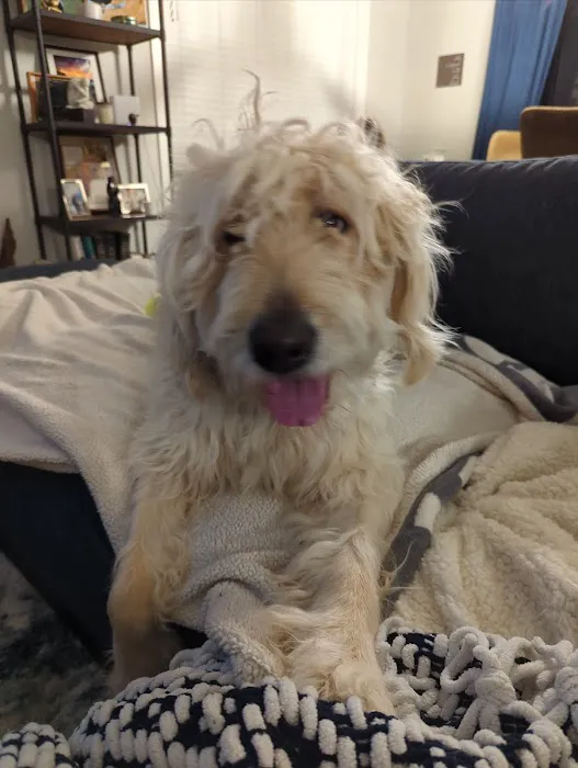 Chuck & Don's Pet Food & Supplies Picture 8