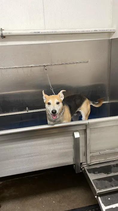 Atlas Pet Supply Picture 2