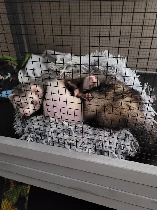 Atlas Pet Supply Picture 8