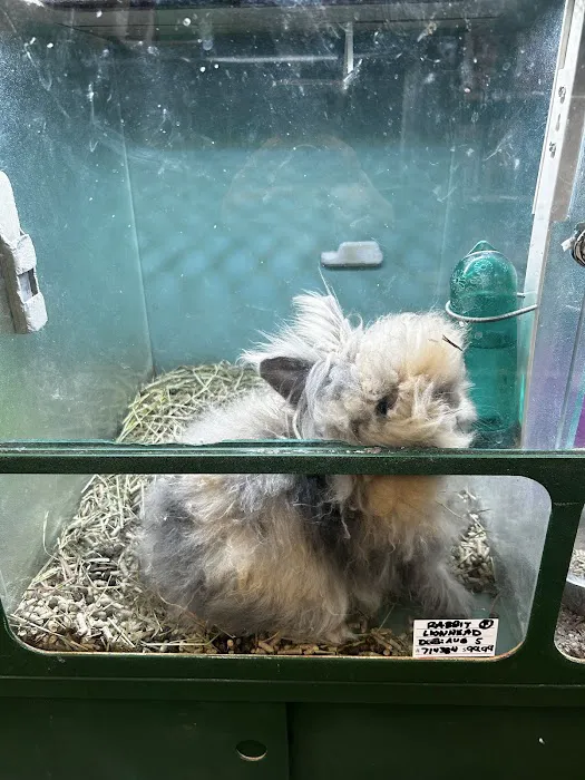 Atlas Pet Supply Picture 6