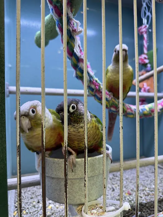 Atlas Pet Supply Picture 4