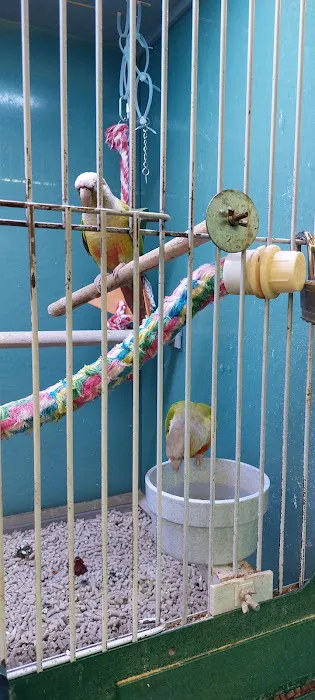 Atlas Pet Supply Picture 10