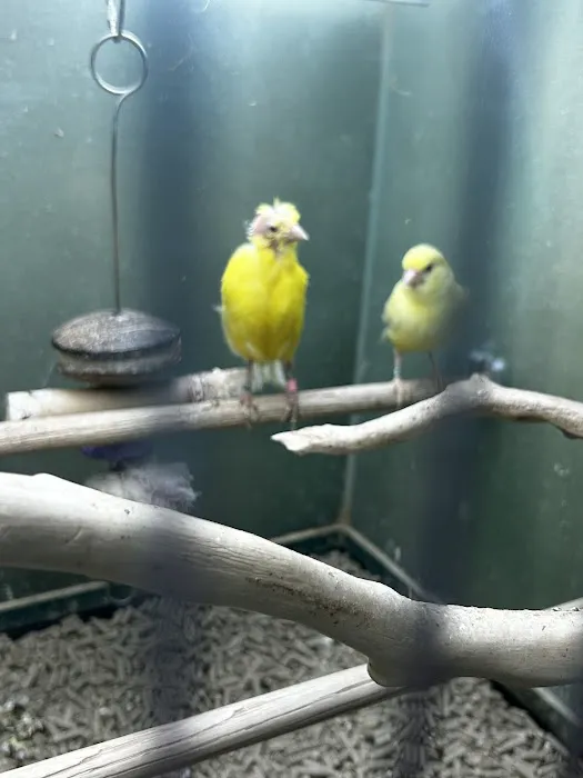 Atlas Pet Supply Picture 7