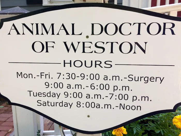 Animal Doctor of Weston Picture 8