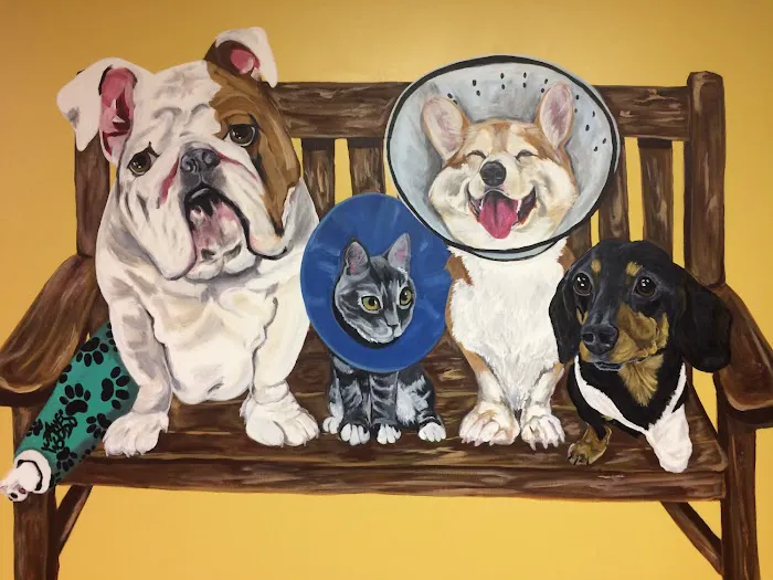 Animal Doctor of Weston Picture 10