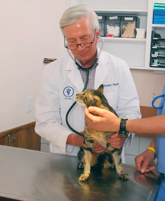 Schulhof Animal Hospital, LLC Picture 1