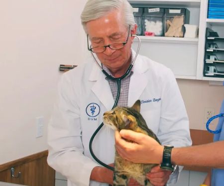 Schulhof Animal Hospital, LLC